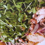 Warm Scottish Smoked salmon and watercress salad