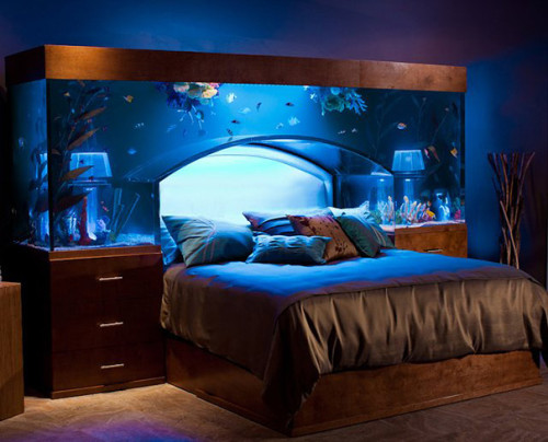 aquarioum bed idea