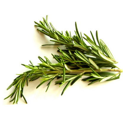 rosemary