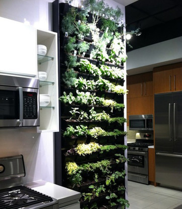 vertical herb garden idea for kitchen