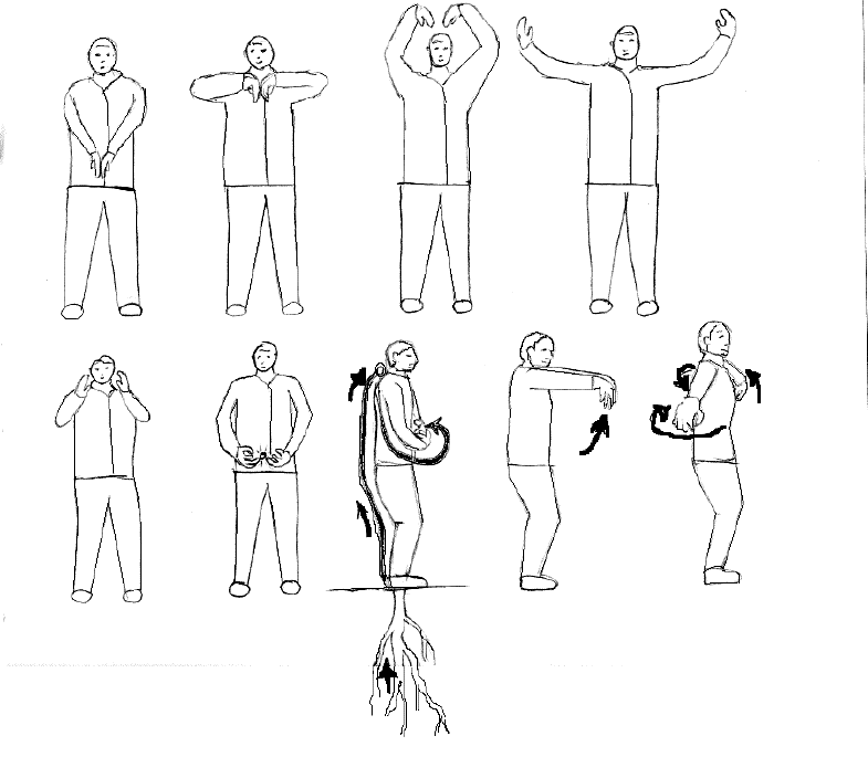 Практика цигун для начинающих женщин упражнения. Цигун для начинающих 8 упражнений. Дыхательная гимнастика цигун для начинающих 8 упражнений. Цигун Бодхидхармы 12 упражнений. Китайская гимнастика цигун для начинающих простых упражнений.